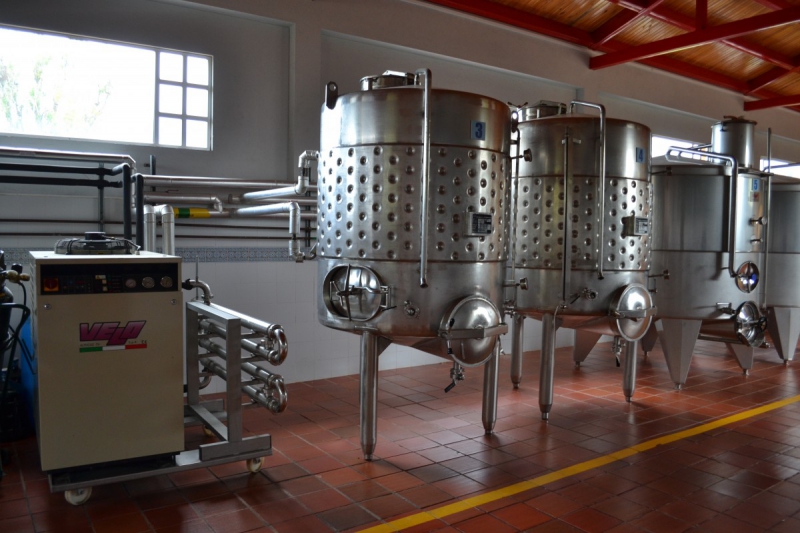 cave-MONTMEYAN-min_wine_production_cantine_winery_drink_alcohol_vine_beverage-902036